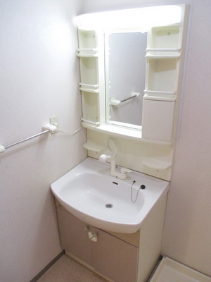 Washroom. Shampoo is vanity