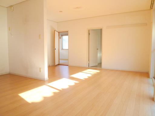 Living and room. LDK