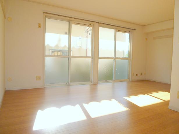 Living and room. LDK