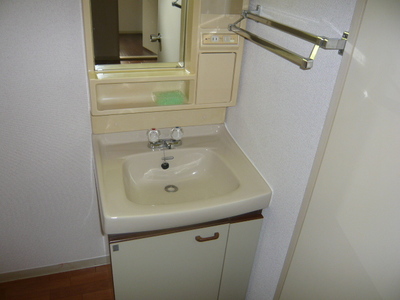 Washroom. Happy independence wash basin for women