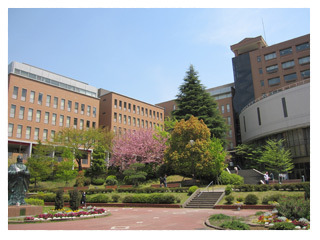 Other. 1247m to JF Oberlin University (Other)