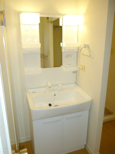 Washroom. Vanity shower