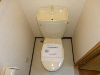 Toilet. Toilet