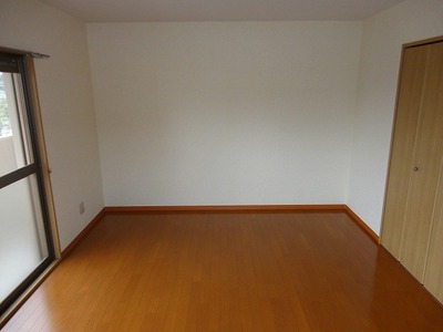 Living and room. Beautiful flooring