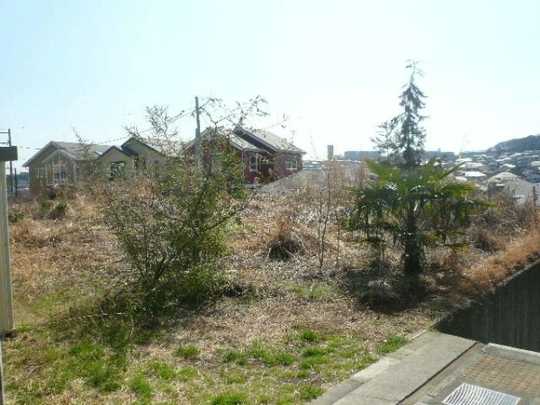 Local land photo. local