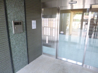 Entrance. Auto-lock of peace of mind