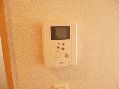 Security. TV monitor Hong peace of mind