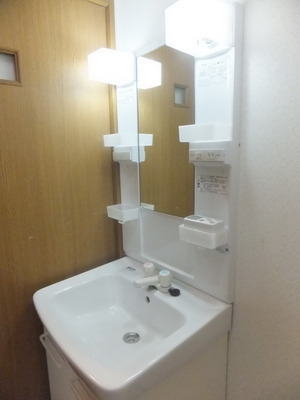 Washroom. Independent wash basin