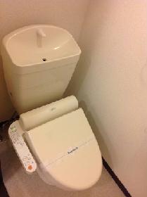 Toilet. Warm water washing toilet