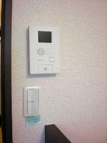 Other. TV monitor with intercom