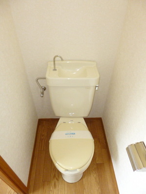 Toilet. It is another toilet
