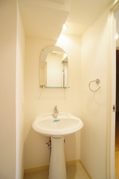 Washroom. Wash basin