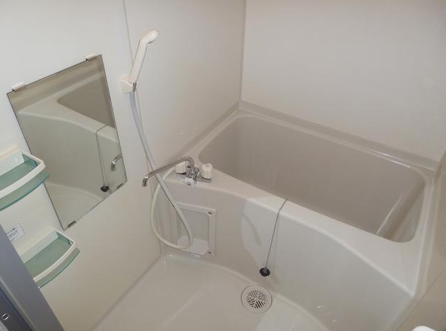 Bath. Reference room photo