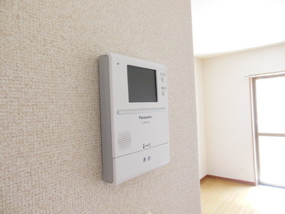 Security. It is the intercom with monitor
