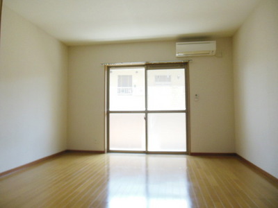 Other room space. It is a nice room