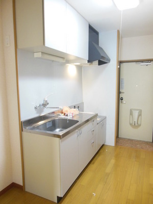 Kitchen. Kitchen space