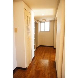 Toilet. Hot water function with toilet seat