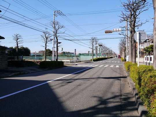 Local photos, including front road