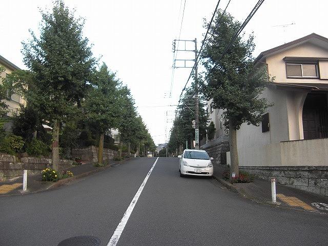 Local photos, including front road. Local (September 2013) Shooting