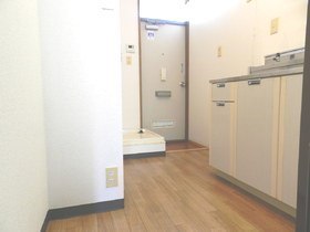 Living and room. Storage cabinet with plenty of two-burner stove installation Friendly Kitchen