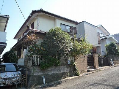 Local land photo. Local (11 May 2013) Shooting