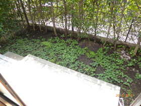 Other. Private garden