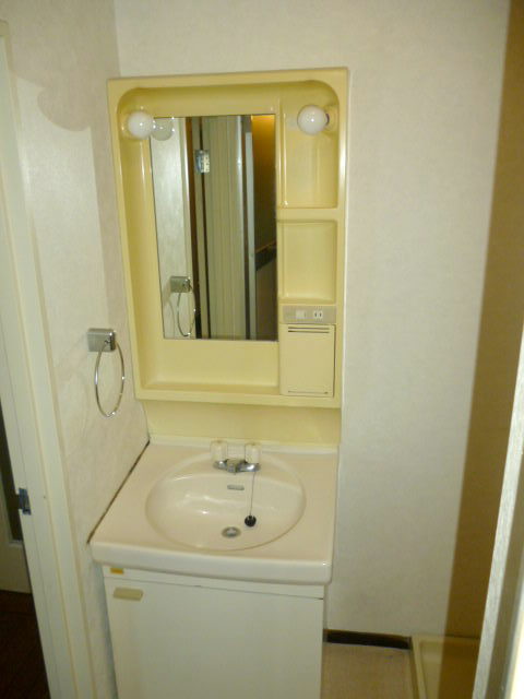 Washroom. Bathroom vanity
