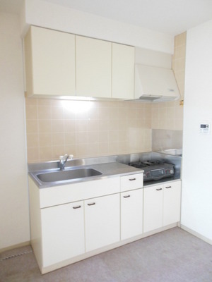 Kitchen. Kitchen space