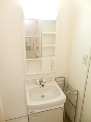 Washroom. It is a popular independent wash basin