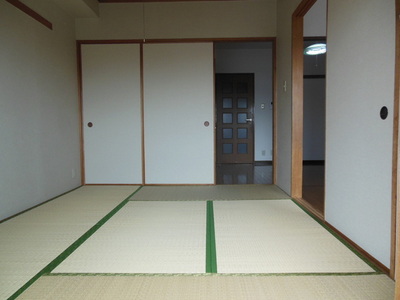 Other room space. It is a beautiful Japanese-style room