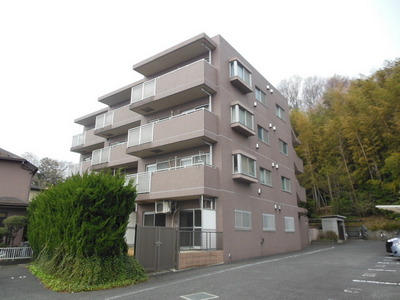 Building appearance. This appearance