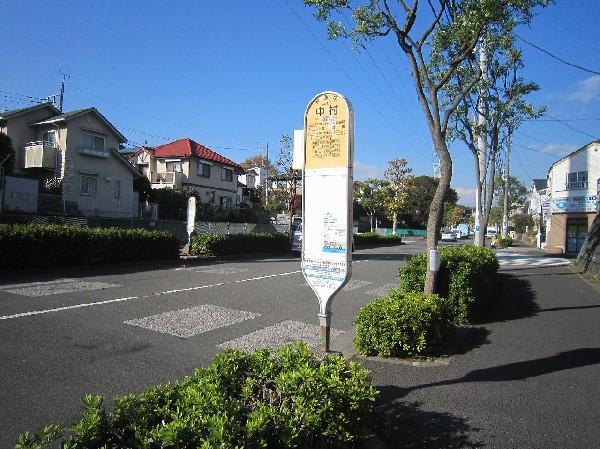 Other Environmental Photo. 10m to "Nakamura" bus stop