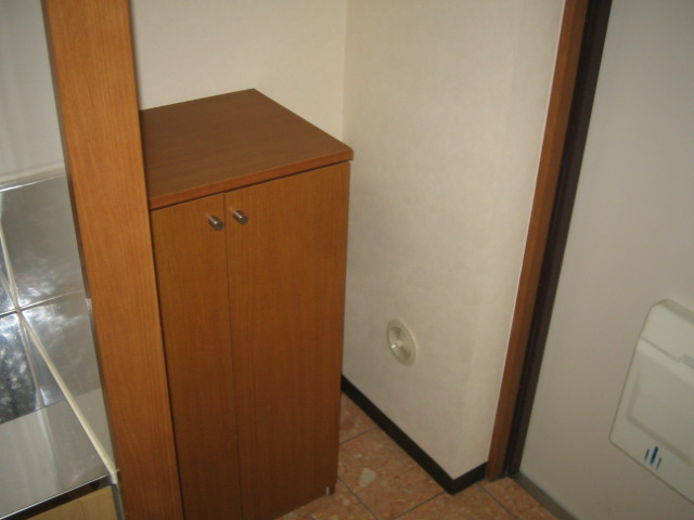 Entrance. Shoe boxes