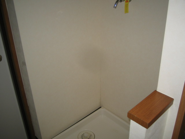 Other room space. Laundry Area