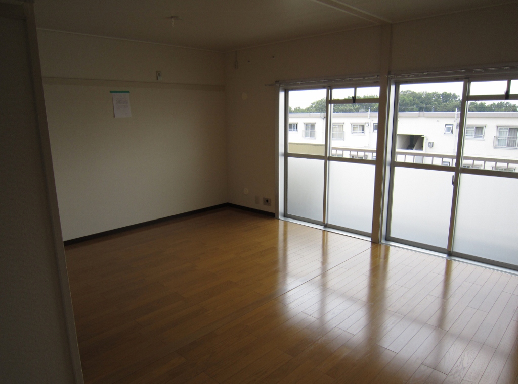 Living and room. Bright living room