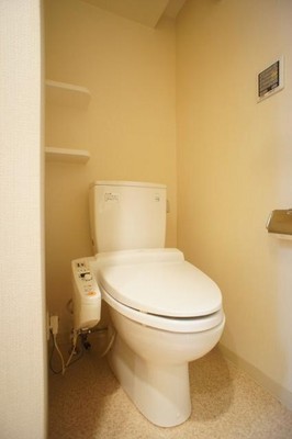 Toilet. Comfortable in the shower toilet