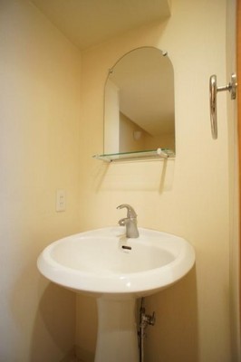 Washroom. Convenient independent wash basin in the morning of the dressing