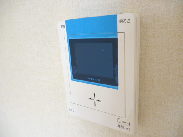 Security. TV monitor with intercom