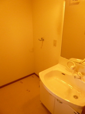 Washroom. Indoor Laundry Storage