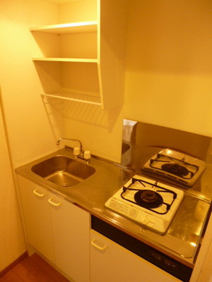 Kitchen.  Draining with a shelf of a kitchen