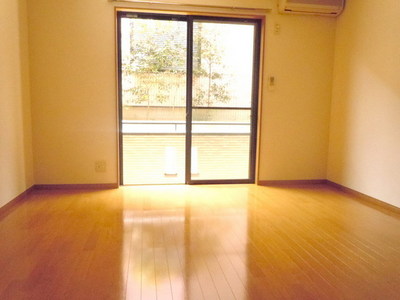 Living and room. Bright rooms