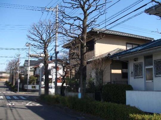 Local photos, including front road