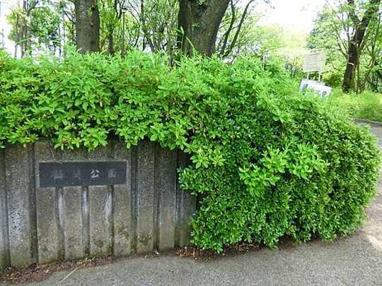 park. 233m until Tsuruma park