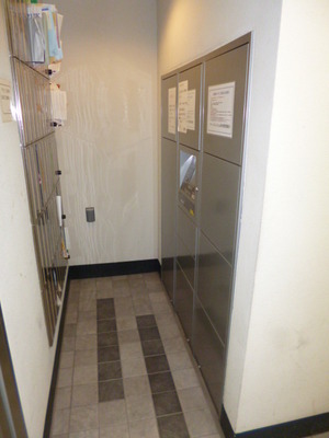 Other common areas. Convenient home delivery box