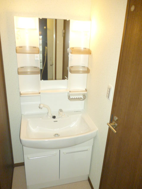 Washroom. Vanity shower