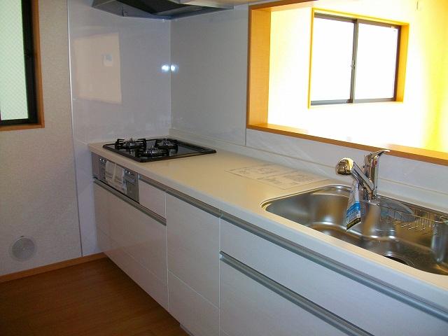 Kitchen. Indoor (11 May 2013) Shooting