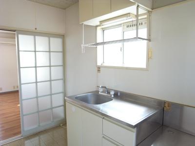 Kitchen. Bright chitin!