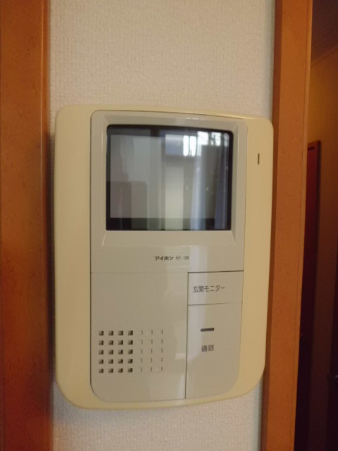 Security. Interphone with a monitor