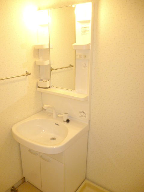 Washroom. Bathroom vanity