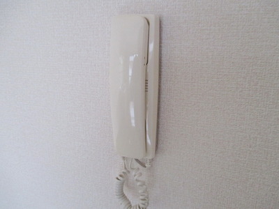 Security. It is intercom